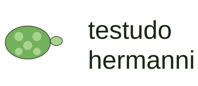 Testudo